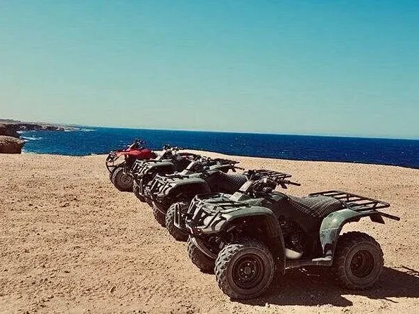 Moto Safari
