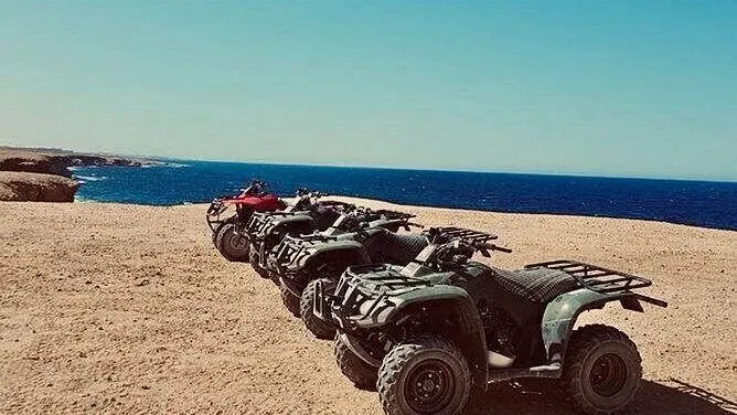 Moto Safari
