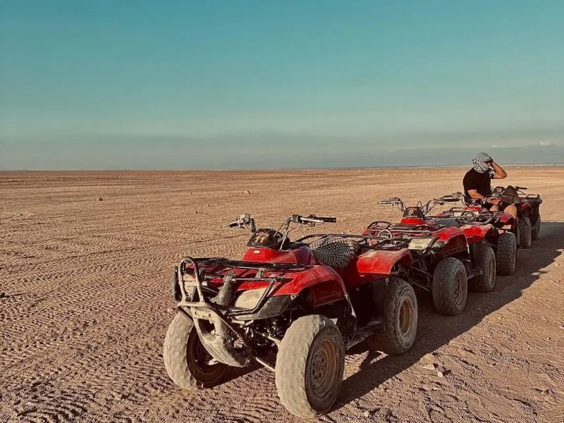 Moto Safari