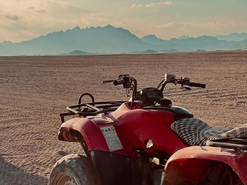 Moto Safari