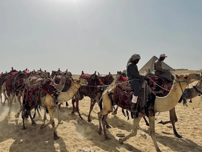 Camel Riding
