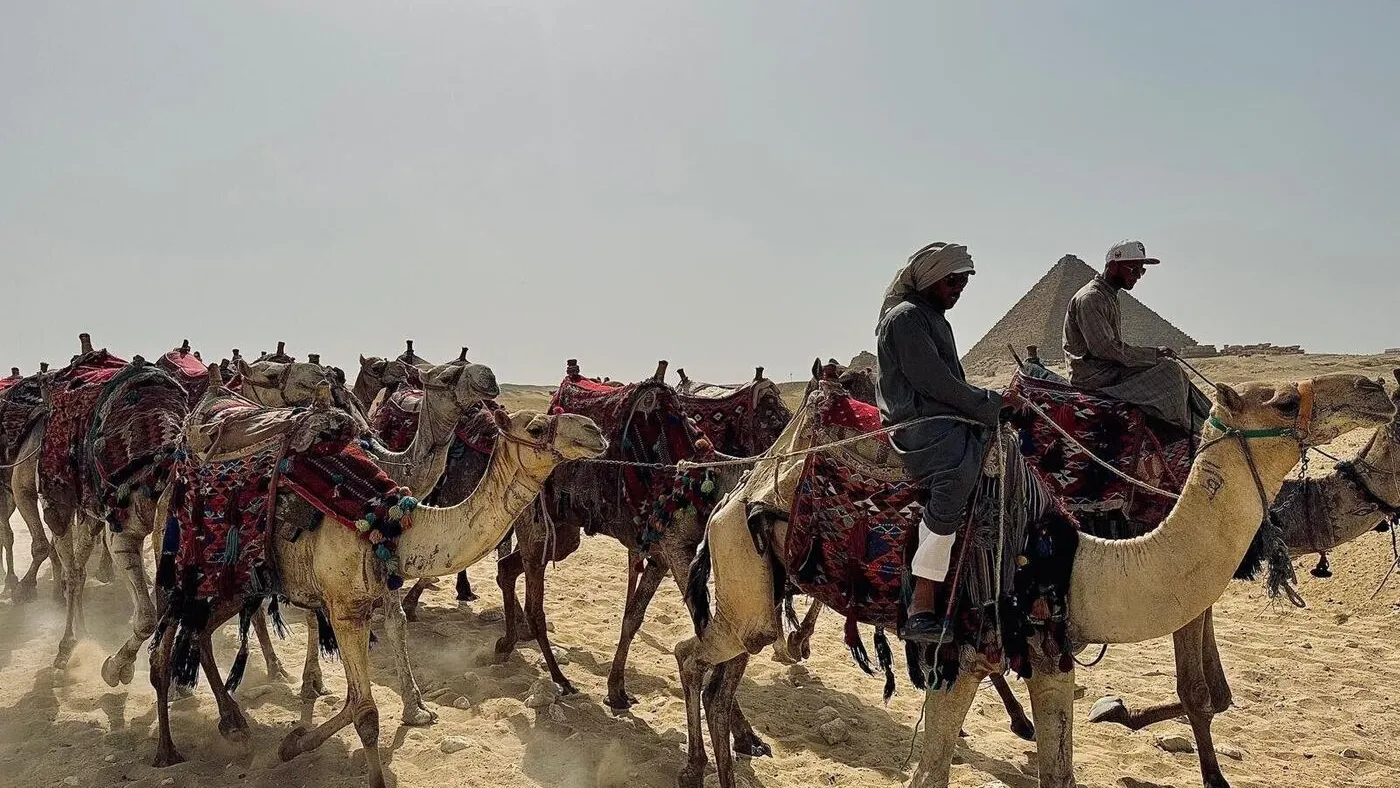 Camel Riding