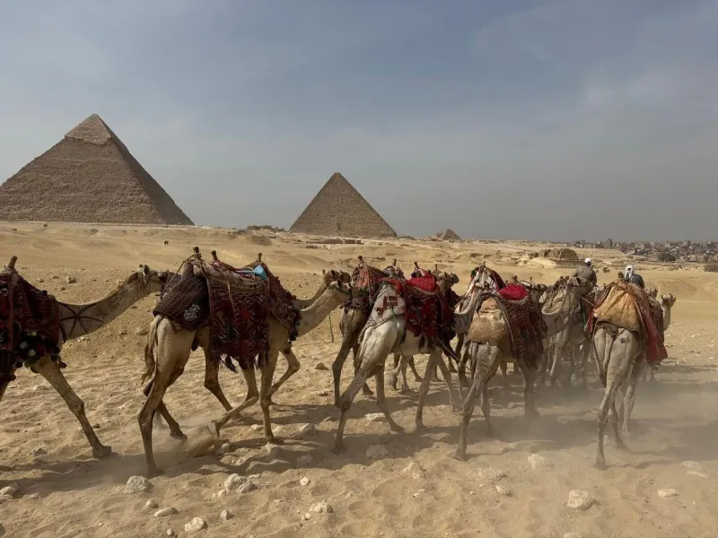 Cairo + Grand Egyptian Museum — Coach