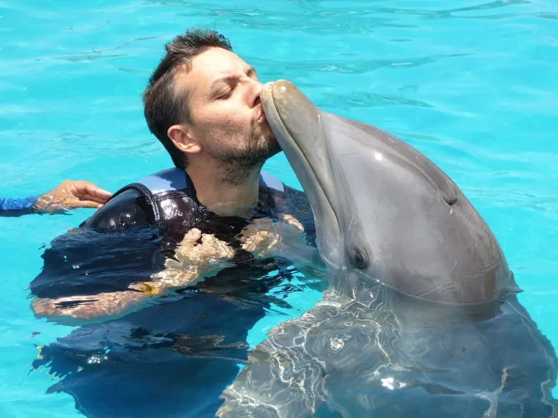 Dolphin Photo Session