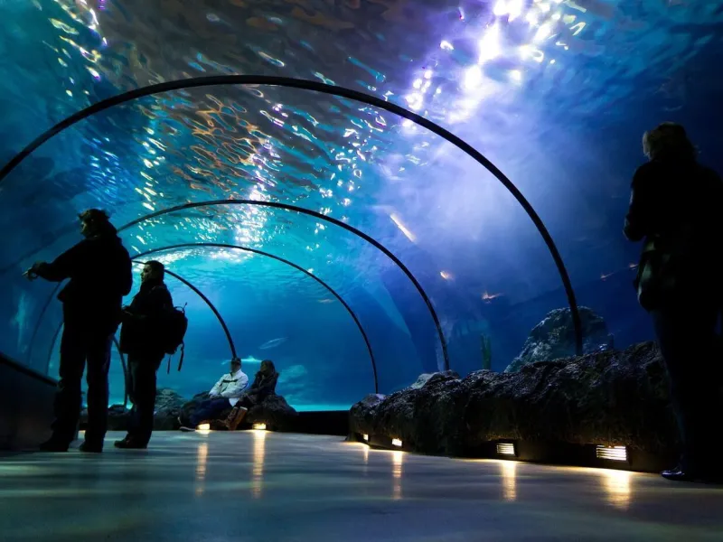 Grand Aquarium
