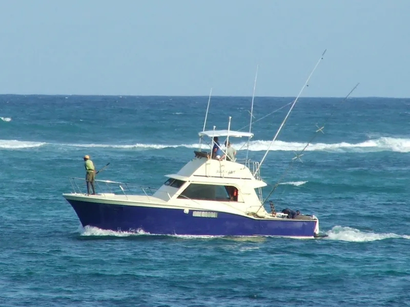 Fishing Trip