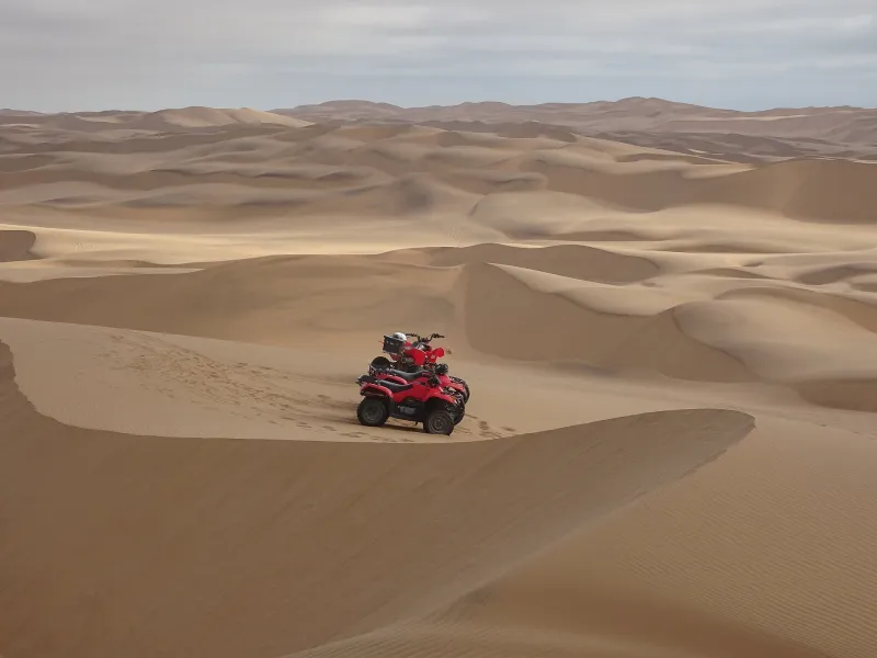 Mega Safari