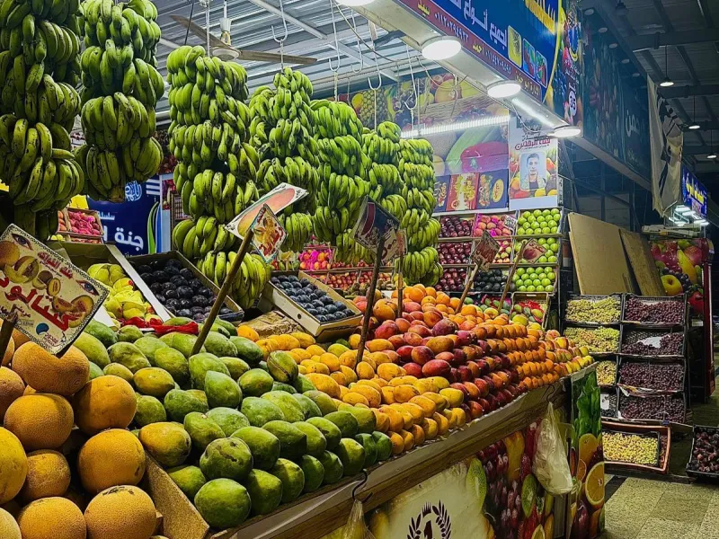 جولة مدينة الغردقة