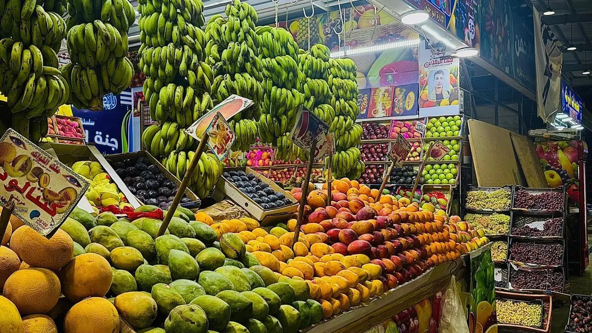 جولة مدينة الغردقة